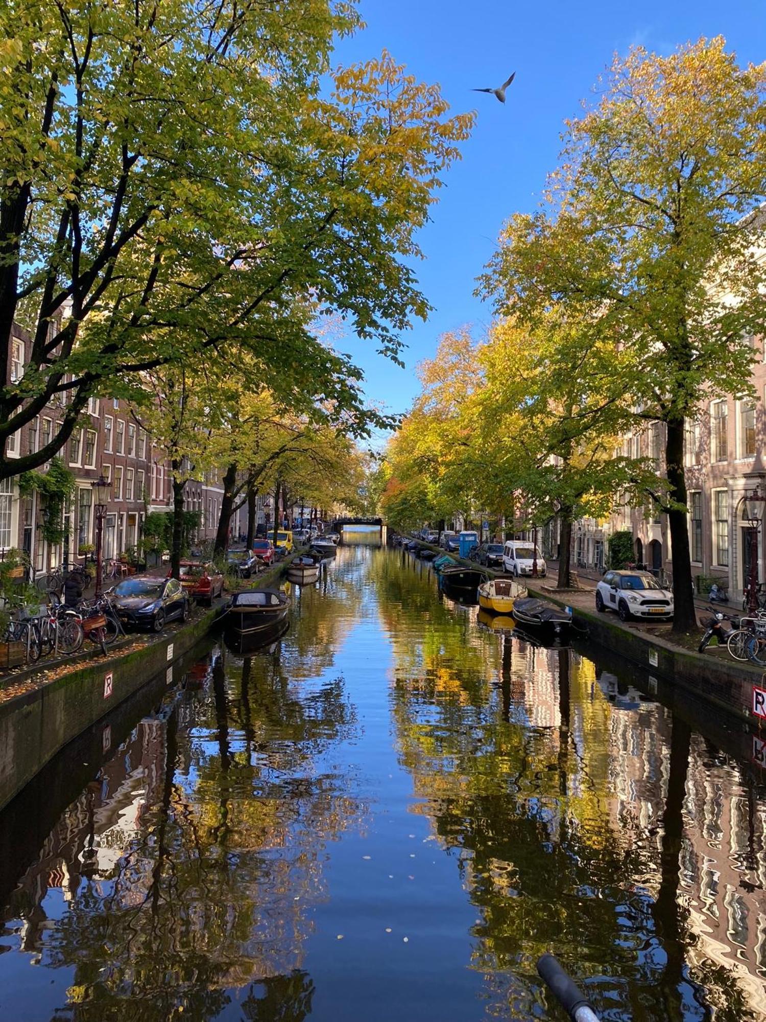 Chez Sybi Hotel Amsterdam Bagian luar foto
